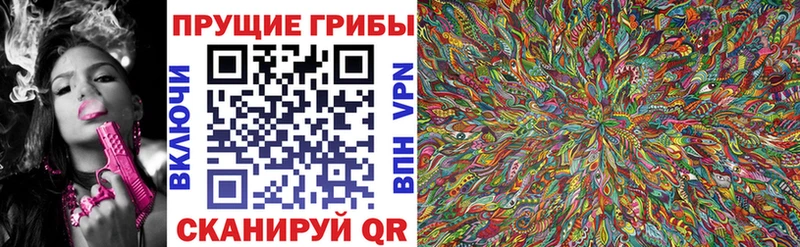 наркошоп  Тайшет  блэк спрут ССЫЛКА  Псилоцибиновые грибы Psilocybine cubensis 